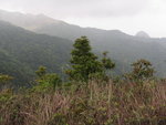 山路右望見觀音頭 (相右)
IMG_1501