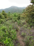 往猴岩頂途中
IMG_1505