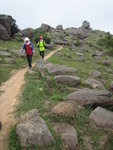 休後起步, 沿麥徑8段往大帽山方向前行
IMG_1527