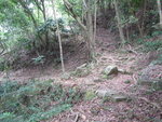 山路至分岔路, 右邊接相思林徑, 大隊則轉左落虎蹤徑
IMG_1628