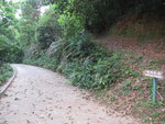 有分岔路, 繼續石屎路前行
IMG_1638