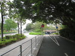 單車徑另一邊是大埔太和路
IMG_1751
