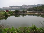 蓮鶴仙觀前池塘及遠處的紅山半島
IMG_2105