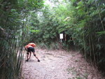 至一分岔路口
IMG_3112