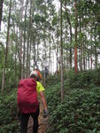 轉右上山
IMG_3464