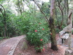 原來左邊去野餐區
IMG_3476