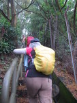 接去水道石級後上走
IMG_3490