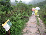 八仙嶺自然教育徑
IMG_4192