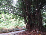 石級頂是引水道
IMG_4303