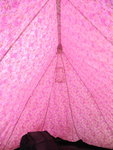 營內營帳粉紫色, 好艷麗哩
SK_00410