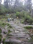 Tsokha (2930) 往  Dzongri (4030) 途中
SK_00782