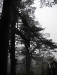 SK_00807