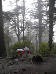 SK_00809