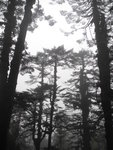 SK_00810