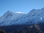 Pandim (6,691m) from Dzongri Top (4130m)
SK_01164