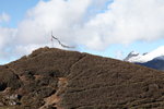 到坳位前面山丘頂有番旗, 剛才無上到
SK_01191