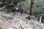 牛群過後跟牛群後面落山
SK_01322
