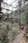 左邊山腰路少上少落
SK_01666