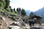 約 0805 經之前在 Bakkim 食茶點避雨的木屋
SK_01848