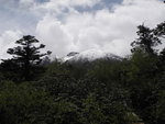 Chopta Valley 中遙望雪山
SK_02318