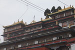 Druk Thupten Sangag Choeling Monastery  Darjeeling 又叫 Dali Monastery
SK_02722