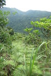前少少右望見黃牛與水牛山
IMG_5813