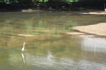 IMG_5955a