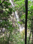 山路中右望瀑壁, 有隊友仍在淋水
IMG_6830