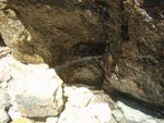 此其一 : 在洞口的噴水岩
P6201500