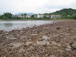 泥涌村在前, 家陣綑泥/石灘
IMG_7749