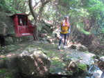 上溯象山西坑(4)經一晨運園地
IMG_8139