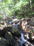 上溯南山尾坑主源左支都好好水, 沿途有水浸
IMG_8184