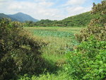 IMG_8911