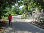 出南涌接鹿頸馬路轉左前行經膊頭下村
IMG_8923