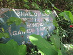 一邊有牌寫上"Shallow End, Depth 1 Metre ....", 可能指示這邊是泳池淺水區只有1米深
IMG_0016