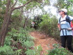 沿耀東坑上溯少少便接山腰路轉右前行, 途中又轉左上山
IMG_0157