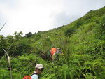 出林穿草叢上山, 以為前面己是山脊
IMG_0822