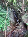 到一絲瀑前, 點上頂呢? 右邊有山路
IMG_0845