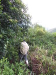 離草坡入林
IMG_0889