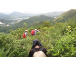 穿草叢落山
IMG_0890