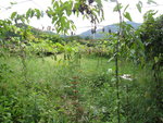 是瓜棚
IMG_0905