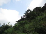 石堆左邊有山路, 在石堆上的隊友則石堆旁落後穿林出山路
IMG_1365