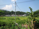 右路中遙望蓮澳村
IMG_1576