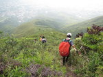 至分岔位轉右落山, 下望錦田八鄉
IMG_1661