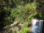 林中小徑入口處, 原來此小徑可往慈興寺
IMG_1902