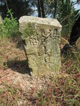 金龍脊山路經一石碑, 刻有"雞谷樹"
IMG_2232