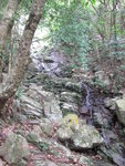 下降正坑左源, 好企, 好多瀑壁, 多要壁旁或林中下降, 好多碎石要好小心
IMG_2974