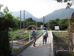 上橋過河(渠), 前望見鳳凰山(左)及彌勒山(右)
IMG_3048