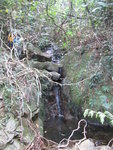 又有小瀑潭, 這個季節都有水, 夏天雨季會甚麼環境呢
IMG_3136