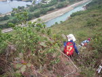 終轉右走新開的路沿大山腰前行一段後落山
IMG_3799